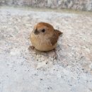 호반숲속작은도서관 이미지