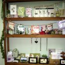 부천상록학교 이미지