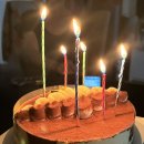 직화대장 | 박수현이 생일주간을 보내는 방법