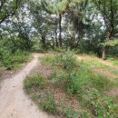 마봉재보루 이미지