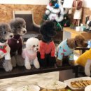 맡겨주개 이미지