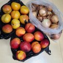 대왕청과 이미지