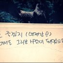 우리하나문구 이미지