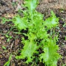 상준농장 이미지