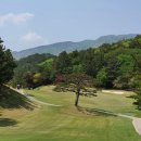 모던종합건설 | 부산 동래베네스트CC 후기｜벚꽃 라운딩 명소 맞네, KLPGA 개막전 코스 직접 가보니