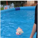 호텔아이 이미지