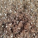 삼싹농장 이미지