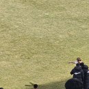 광주FC vs FC서울 경기사진 이미지