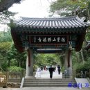 서화 이미지
