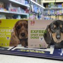 홈타운약국 이미지