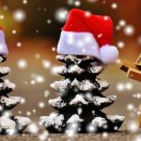 파파야레스토랑 이미지