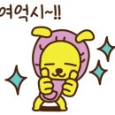 뽀송뽀송 애견미용 이미지