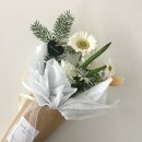 밀테플레르 이미지