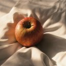 수페23 프리미엄 이미지