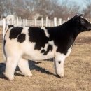 카페 디아즈 이미지