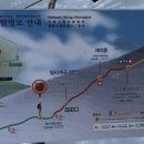 영갈분식