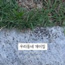 양원숲속도서관 이미지