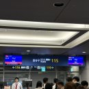 씬커피 | 1+2일차::다낭공항 입국,시타딘펄리조트,한코코넛 바구니배,선샤인스파,호이안 올드타운,QQ레스토랑,씬커피