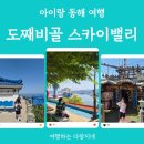 동해시-26 | 동해 묵호 여행 필수코스｜도째비골 스카이밸리 자이언트 슬라이드 후기·논골담길 소품샵