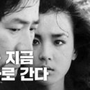 우리는 제네바로 간다 we are going to geneva 이들은 제 정신이 아니다 6개 호주 국가기관의 총체적인 작당/무책임 그리 이미지