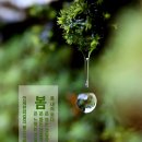 개인약수 탐방로 입구 이미지