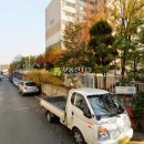 행신로311번길 Daum카페