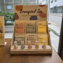 스케치독 이미지