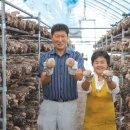 거송농장 이미지