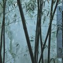 담양대나무축제 이미지