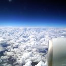 아시아나보다 유일하게 호평받는 대한항공 기내식 이미지