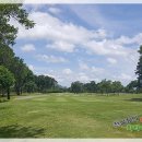 피닉스클럽 이미지