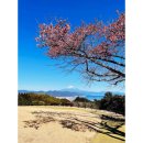 우체국앞(33400-0839) | 꿈의 대교를 찾아 시즈오카