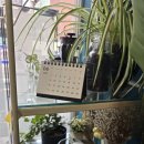 삼락하동재첩국 이미지