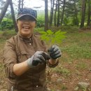 형제 농장5 이미지