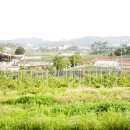 궁평보건진료소 이미지