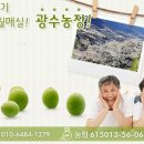 계월농장 Daum카페
