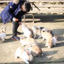 올래놀래 이미지