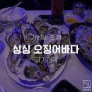 싱싱오징어 이미지