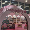 카매니져 | [제주여행] 제주도에서 렌터카 이용하기! 빌리카 이용후기 1-2