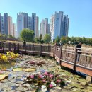 푸른수목원 이미지