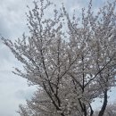 광주 천변길3 이미지