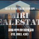 대신펠리체 이미지
