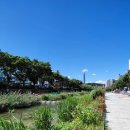 성내천 물놀이장 화장실 이미지