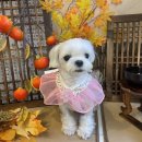 양덕동275 이미지