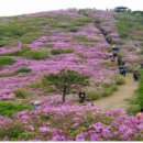 사파동128 이미지