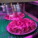 꿀꺽삼겹 이미지