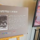 아우로라 이미지