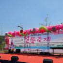 [일원3] 수묵 캘리그라피 | 청계산 철쭉축제 대왕저수지수변공원 오픈 경기도성남 가볼만한곳 경기도봄꽃축제 서울근교가볼만한곳