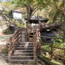 비래골길 | [대전 가을 등산 데이트] 계족산 비래사 / 초보자도 가능한 등산 코스 꿀팁, 주차장