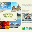 자유국제여행사 이미지